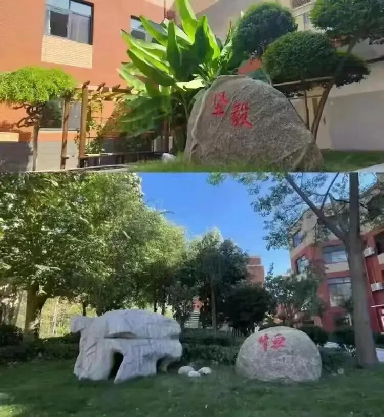 以练为战,冲刺中考——济宁市第十三中学红星校区初四体育模拟测试顺利开展 第7张