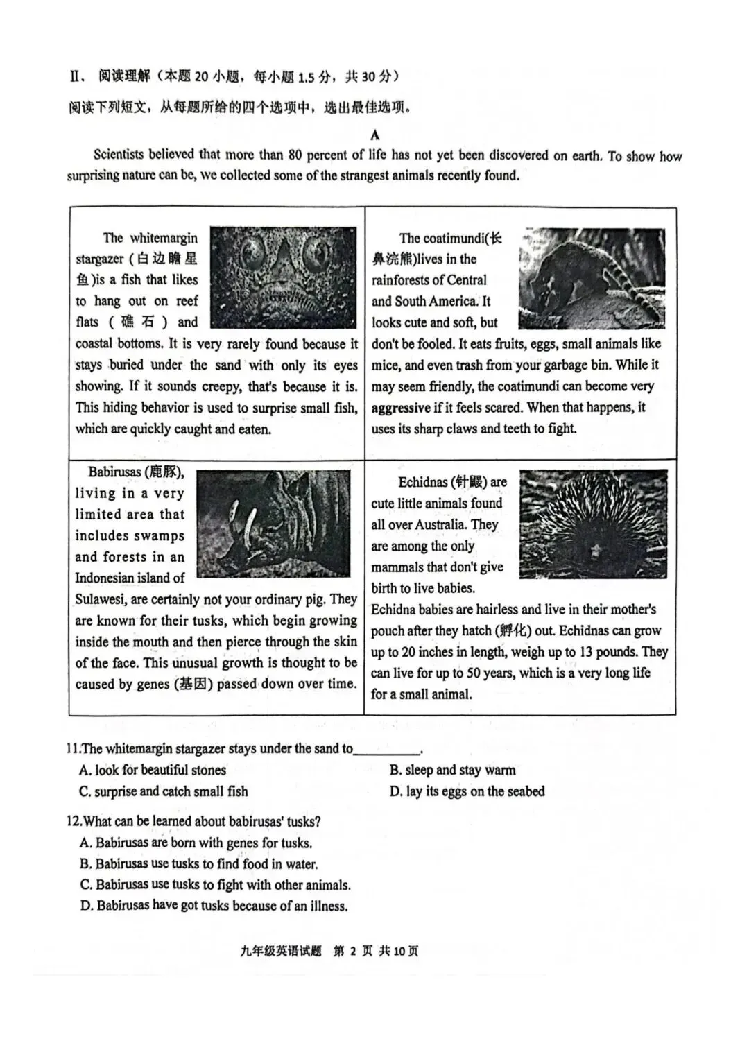 2026年市南区中考一模真题汇总! 第8张