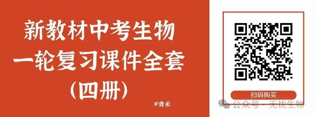 新人教生物中考一轮复习专题三3.1被子植物的一生@青禾 第5张 新人教生物中考一轮复习专题三3.1被子植物的一生@青禾 第5张