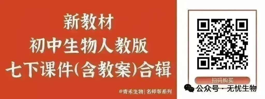新人教生物中考一轮复习专题三3.1被子植物的一生@青禾 第8张 新人教生物中考一轮复习专题三3.1被子植物的一生@青禾 第8张