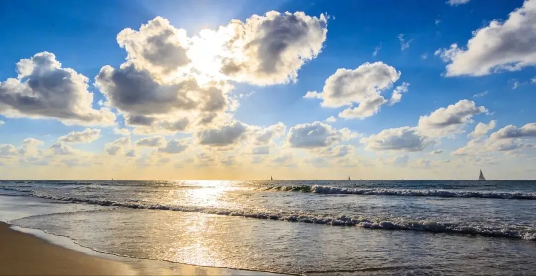 助力长沙中考数学——奇妙的模卷二 第1张