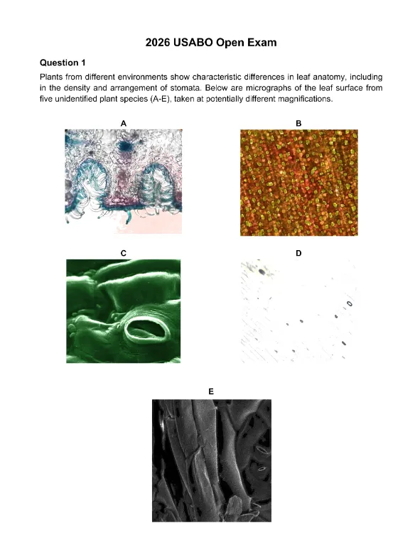 2026年USABO真题答案解析免费分享!附考后USABO直通车课程规划 第1张