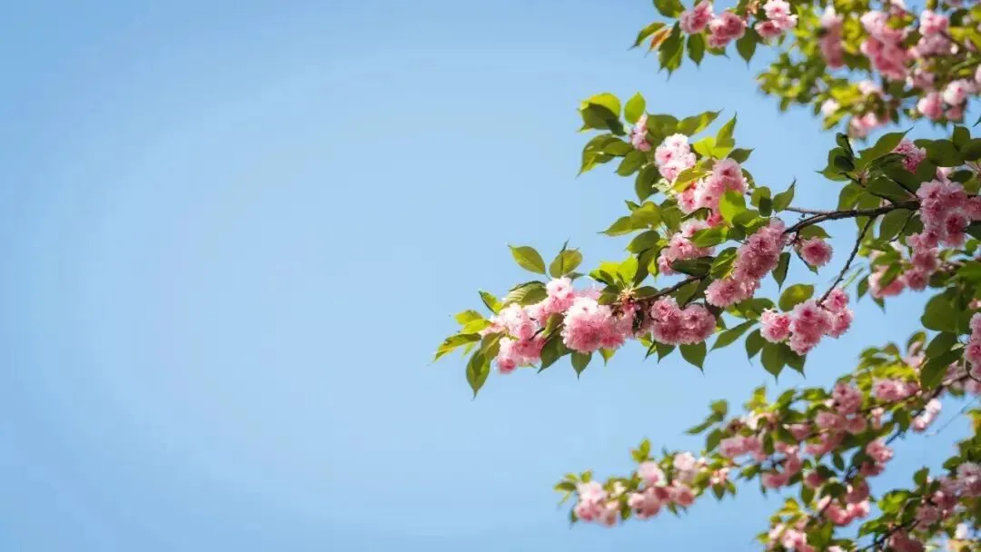 中考英语真题系列 有答案,可打印 第1张