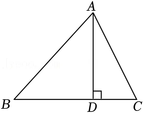 2026年安徽省阜阳市城郊中学中考数学一模试卷 第5张