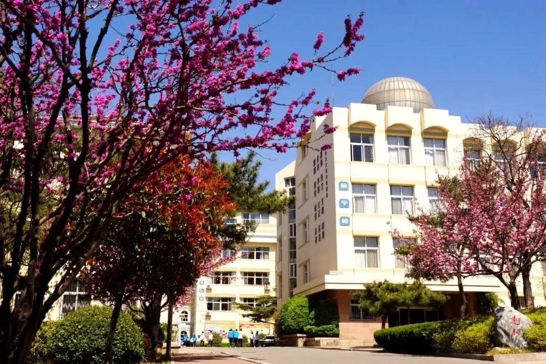 【17中•中考资讯】学长学姐成长手记︱2025级5班 姜昀良:掌舵青春,奔赴山海 第11张