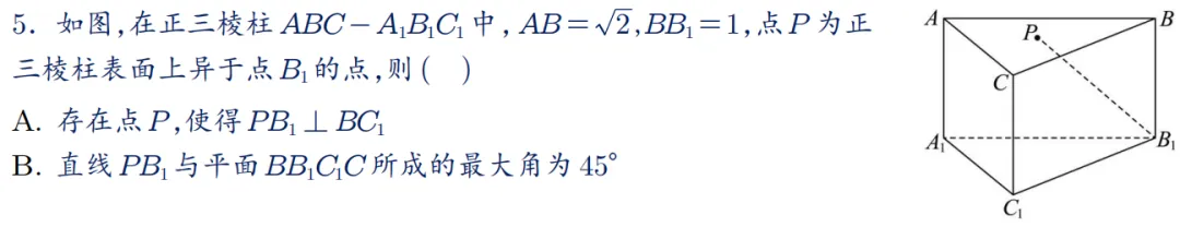 2026年新高考数学名校真题好题汇编 第31张