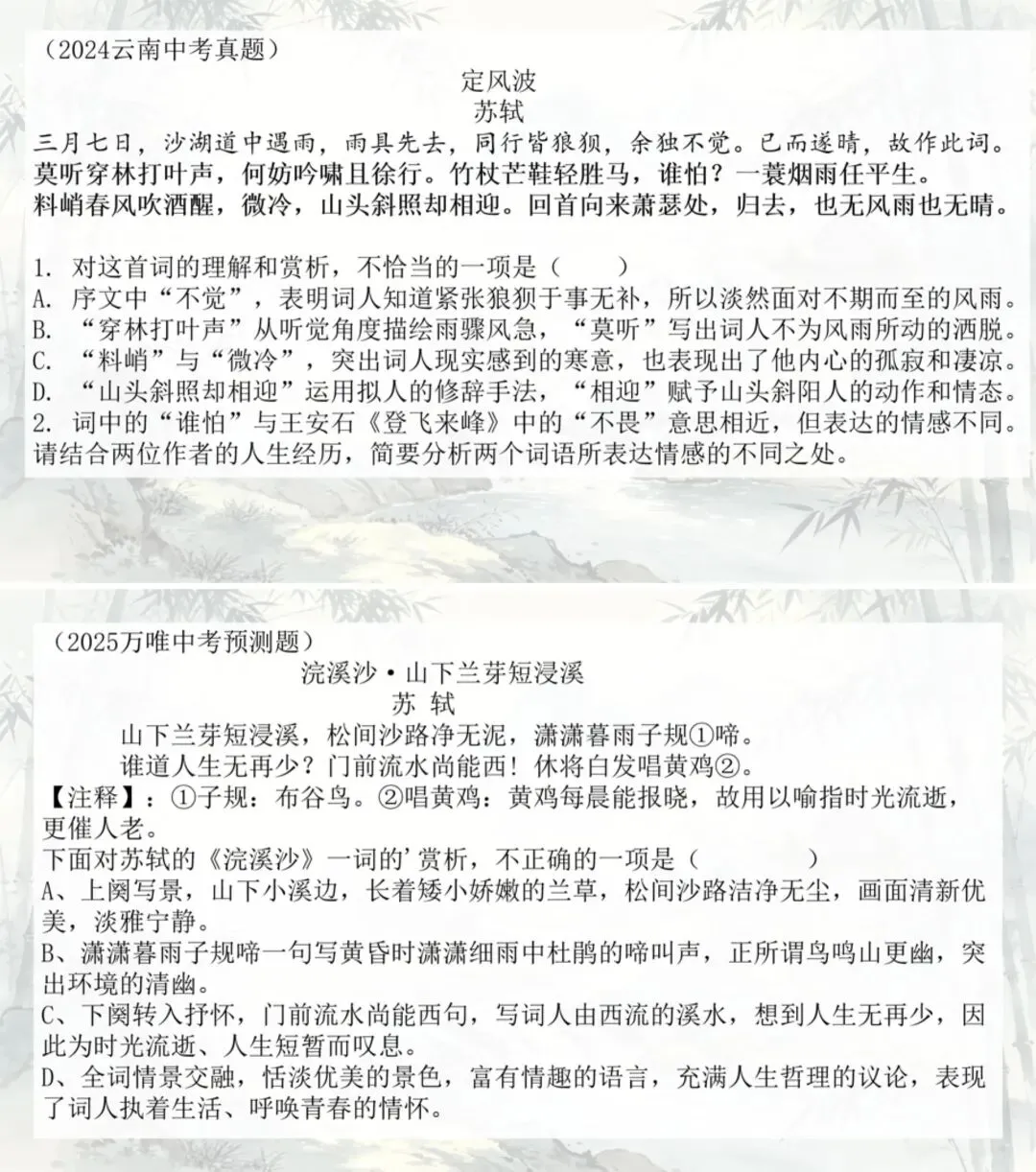 中考苏轼诗文整合复习之遇见苏东坡! 第10张