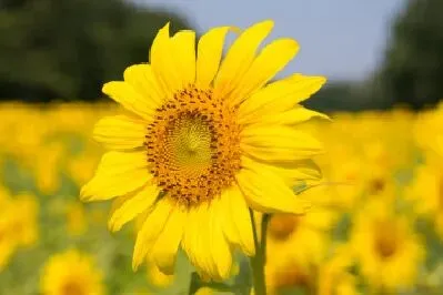 致中考家长:普高VS中职,只是换条赛道 第4张 致中考家长:普高VS中职,只是换条赛道 第4张