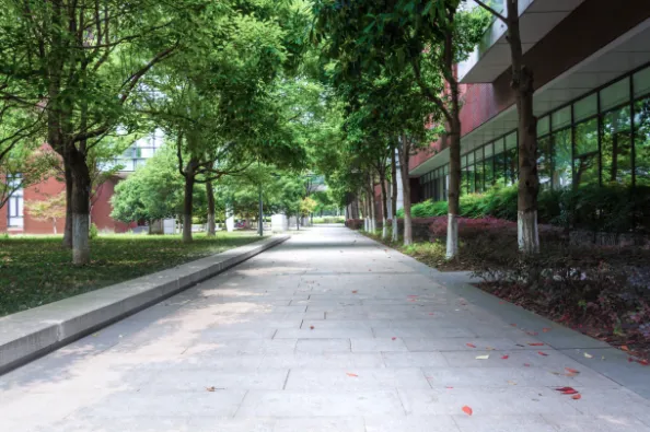 别等中考后再焦虑!现在规划中职升学,孩子提前锁定3大核心优势! 第5张 别等中考后再焦虑!现在规划中职升学,孩子提前锁定3大核心优势! 第5张