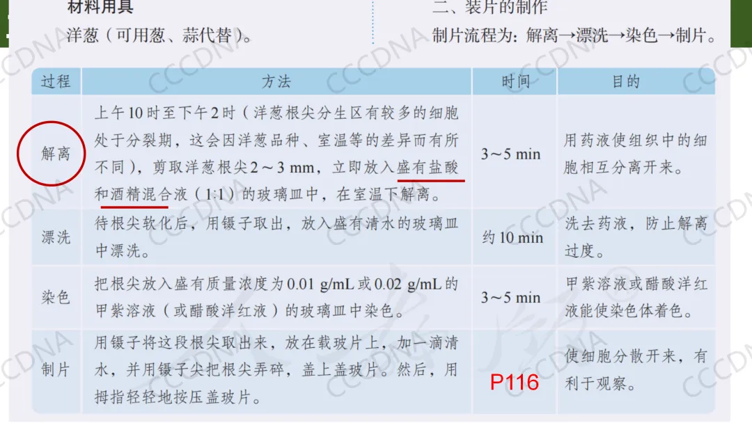 2026届高三生物学二模试卷讲评 第8张