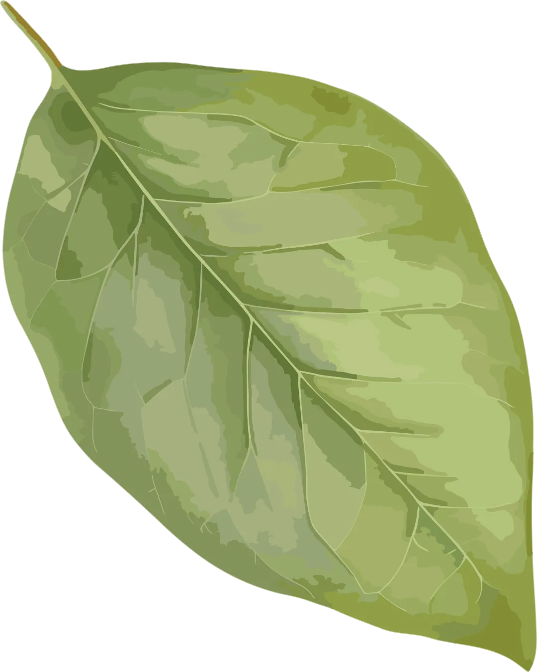 析题研策促学习 赋能提质迎中考——2026年春晋江市初中历史学科教学协作组研训活动在罗山中学圆满举行 第3张