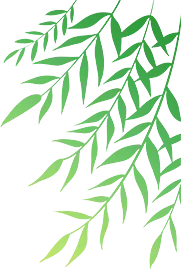 少讲多学,把课堂还给学生 —— 英语试卷评讲课教学反思 第1张 少讲多学,把课堂还给学生 —— 英语试卷评讲课教学反思 第1张