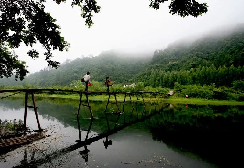 【中考阅读指导】小小柳木桥(李汉荣)江苏徐州2025 第6张 【中考阅读指导】小小柳木桥(李汉荣)江苏徐州2025 第6张