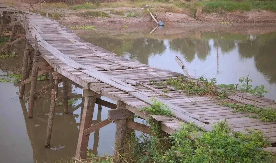 【中考阅读指导】小小柳木桥(李汉荣)江苏徐州2025 第8张 【中考阅读指导】小小柳木桥(李汉荣)江苏徐州2025 第8张