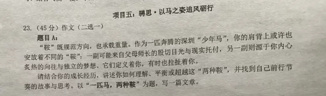 中考作文百日攻坚(21)深中一模:一匹马,两种鞍 第1张