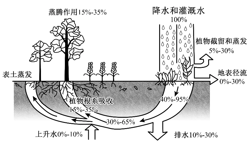 冲刺提分真题练——考点12 水循环(原卷版) 第2张 冲刺提分真题练——考点12 水循环(原卷版) 第2张