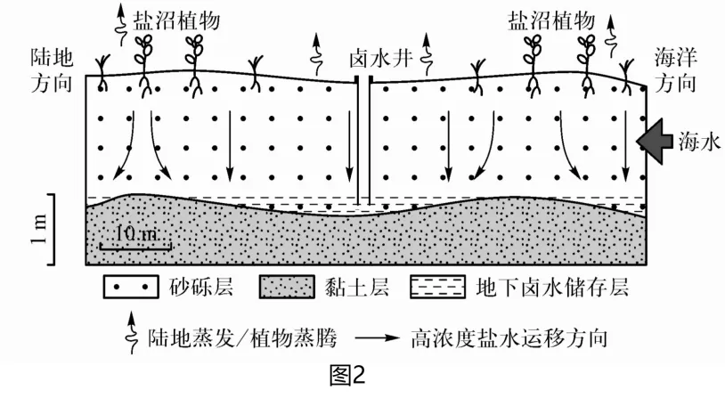 冲刺提分真题练——考点12 水循环(原卷版) 第15张 冲刺提分真题练——考点12 水循环(原卷版) 第15张