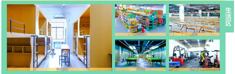 南宁家长注意!中考C+也能上本科!这所30年艺术职校火了! 第4张 南宁家长注意!中考C+也能上本科!这所30年艺术职校火了! 第4张