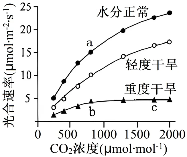 2026届北京市西城区高三一模测试试卷生物 第2张 2026届北京市西城区高三一模测试试卷生物 第2张