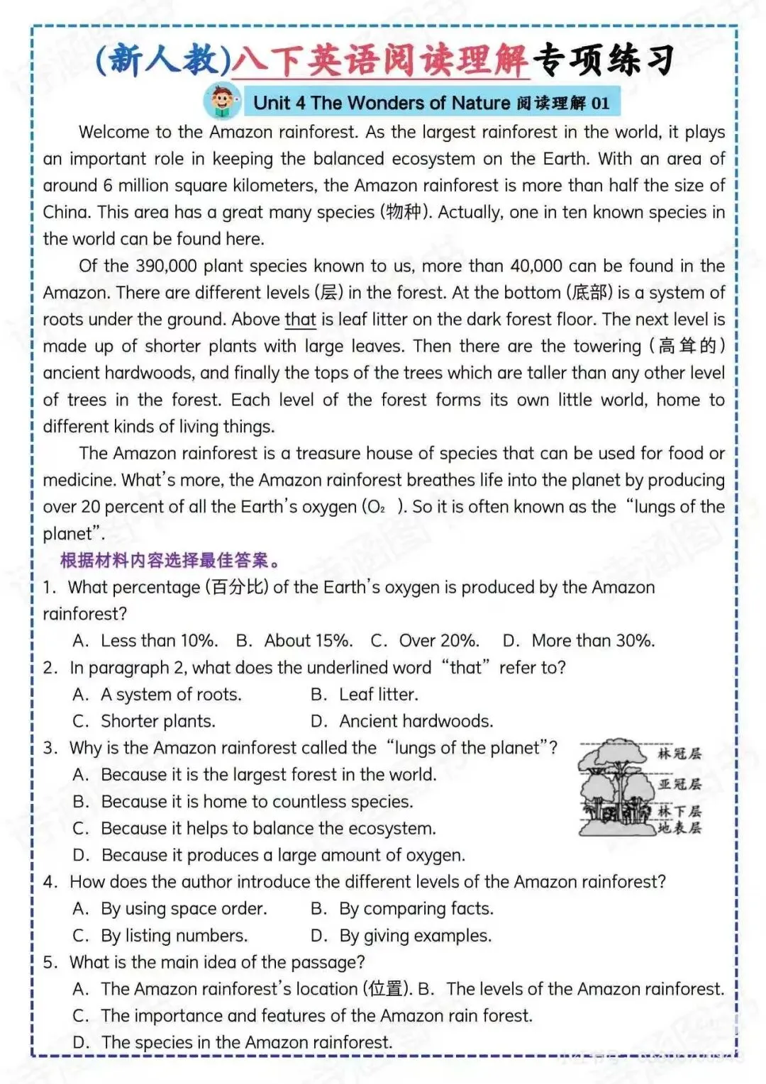 2026新版八下英语期中考复习 第19张