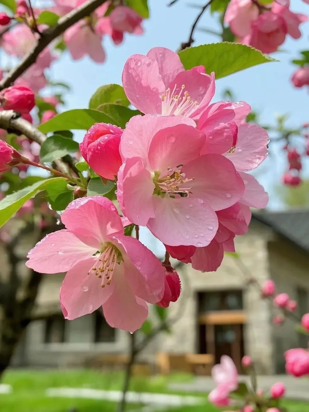 2026届高三年级4月模拟考试物理试题 第10张