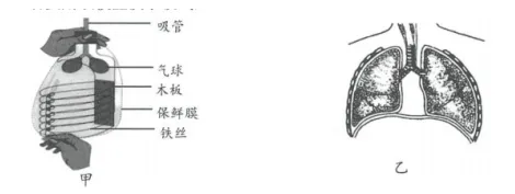 中考科学(浙江)热点深度探析——工程设计与项目化试题 第2张
