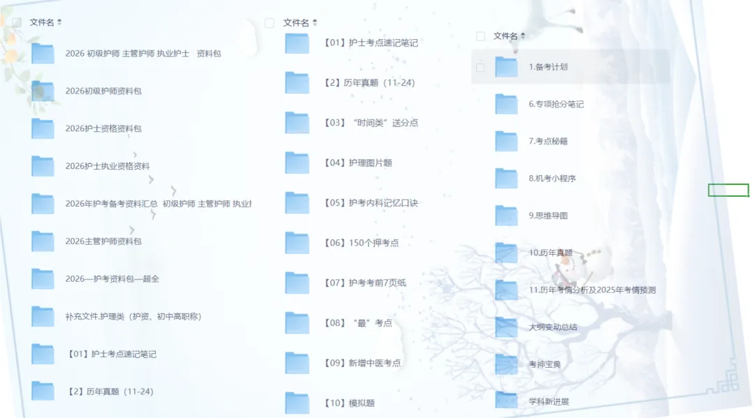 【2026执业护士】护士执业资格备考考试资料包合集(历年真题答案解析+考前7页纸+学霸笔记+考前冲刺+高频考点+押题)PDF可下载 第1张