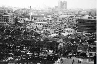 小论文专项(期中真题汇编,统编版) 第8张 小论文专项(期中真题汇编,统编版) 第8张