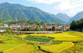 小论文专项(期中真题汇编,统编版) 第12张 小论文专项(期中真题汇编,统编版) 第12张