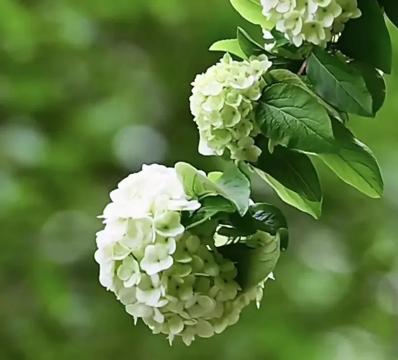 中考满分作文|《我做对了这道选择题》二篇 第2张