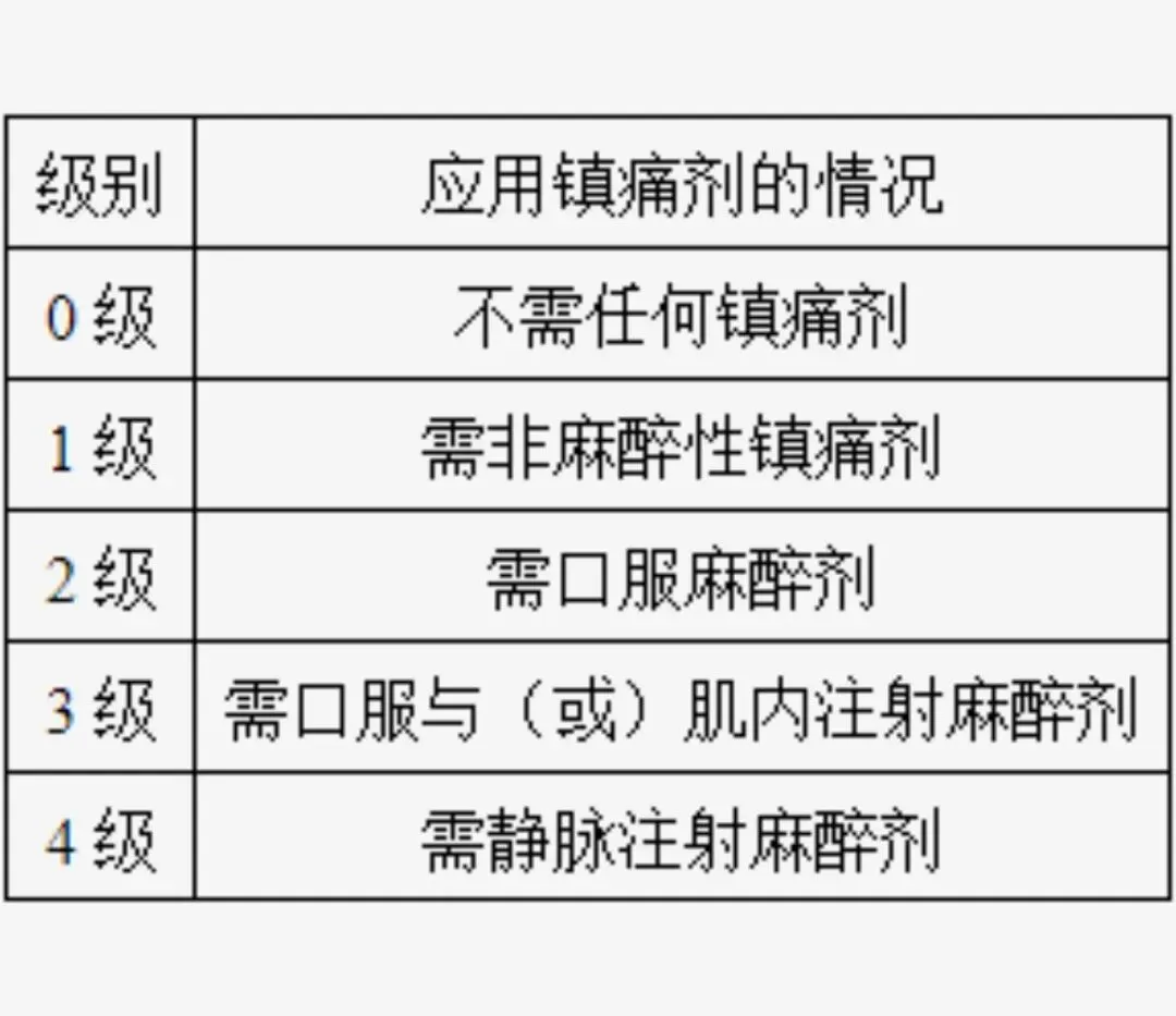 2024年康复医学治疗技术考试真题(五) 第1张