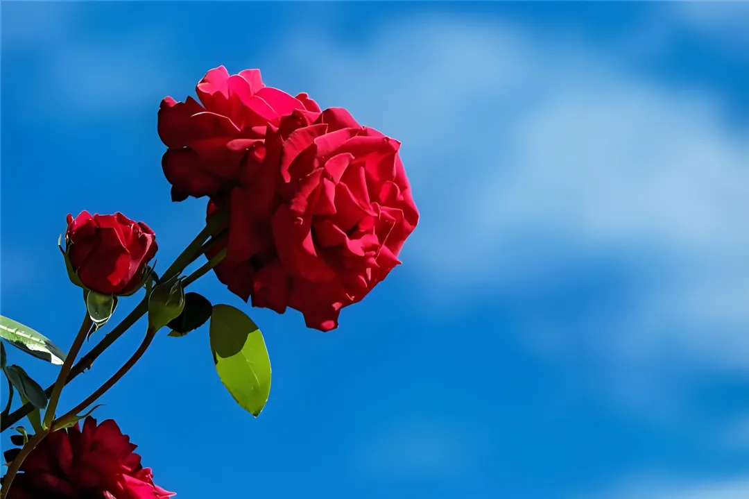 2026大少中考Q群答疑汇总(第2期) 第3张