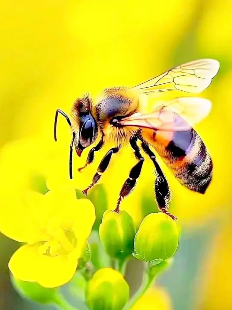 春考真题 | 2021年上海春考语文 第5张