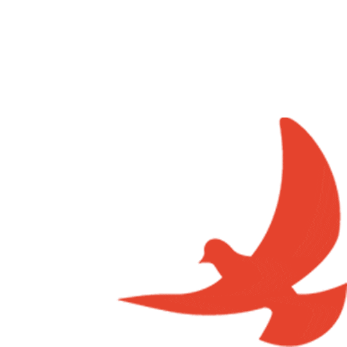 【善美泗中】长兴县初三科学中考复习暨课堂教学规范年交流研讨活动在泗安中学顺利开展 第13张