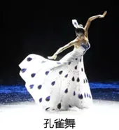 2026年地理中考热点(44)独库公路冬季封闭 第19张