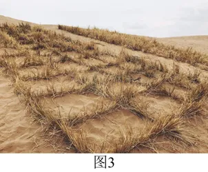 2026年地理中考热点(44)独库公路冬季封闭 第24张