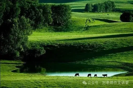 中考家国情怀篇:此中有真意 第1张 中考家国情怀篇:此中有真意 第1张