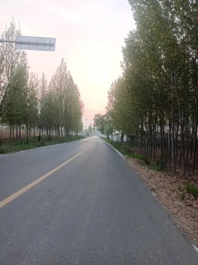 26真题:领导让小李写一次会议的经验总结.领导审阅后说:“要总结经验,而不是经过.”如果你是小李,谈谈你对领导这句话的理解. 第2张