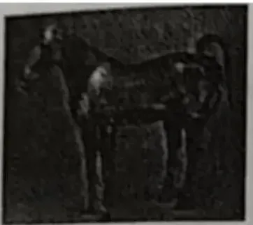 2026届四川省绵阳市三台中学高三三诊模拟考试(二)历史试题 第5张