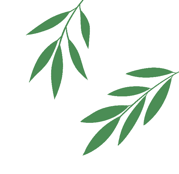 技能筑梦展风采 暖心助力迎中考——亳州树仁技工学校技工教育活动周特色展示圆满举办 第6张