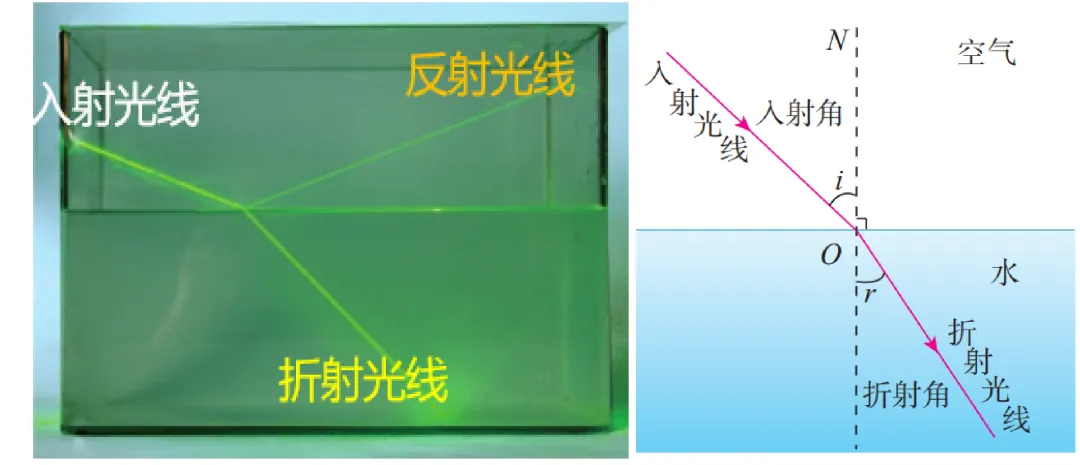 【每日一题•中考专栏】光现象 第14张