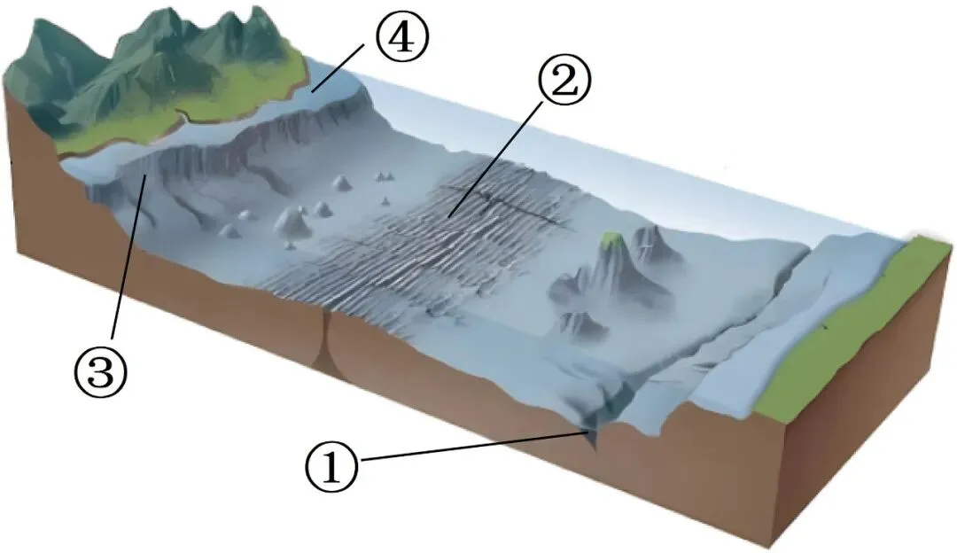 2026年地理中考热点(二九)北极科考 第7张