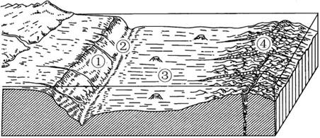 2026年地理中考热点(二九)北极科考 第8张