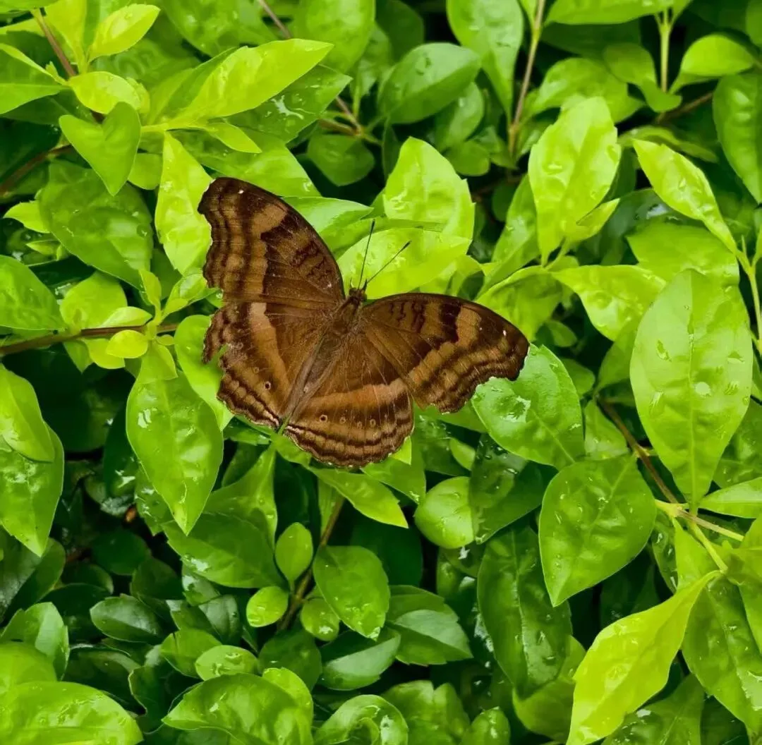 【醒心修行录】一套中考真题卷,照见我心底的焦虑与执念 第1张