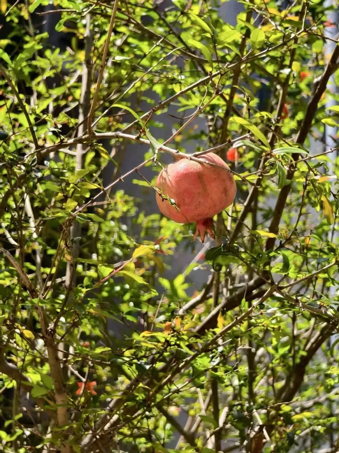 【醒心修行录】一套中考真题卷,照见我心底的焦虑与执念 第2张