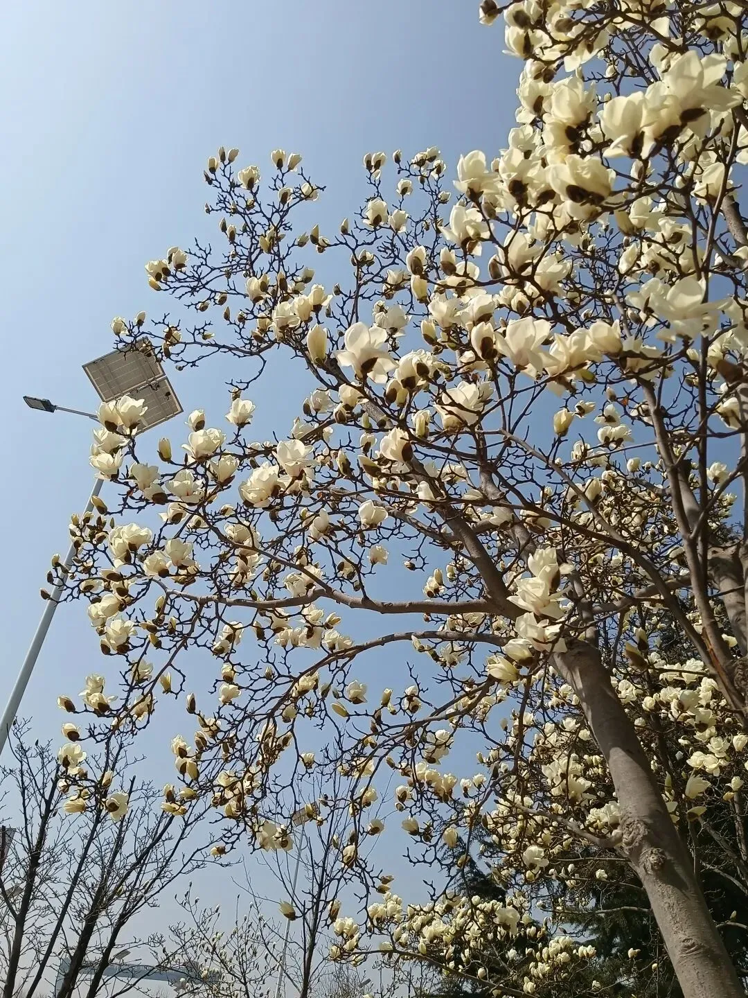 如果中考一模是道“超常发挥”的题,你会让孩子改志愿吗? 第2张