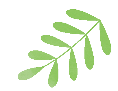 以生为本筑课堂,精准备考向中考|逊克县第二中学校九年级复习示范展示课 第6张