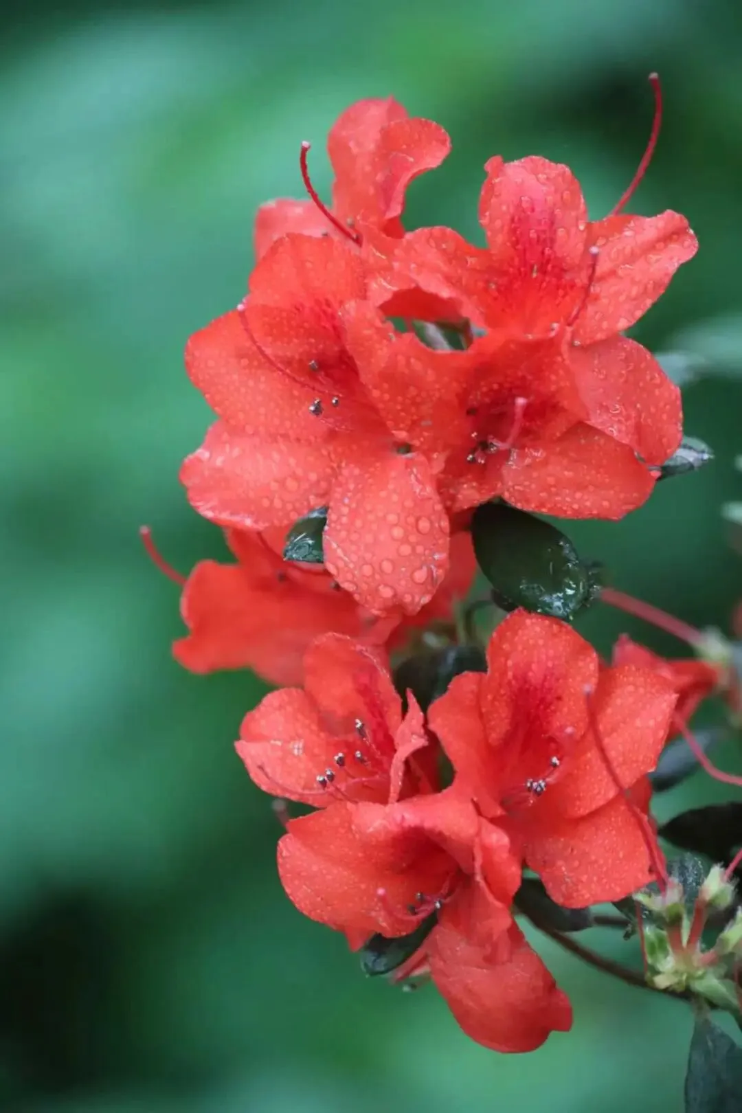 中考作文凡人微光进阶指导范例(一) 第4张 中考作文凡人微光进阶指导范例(一) 第4张