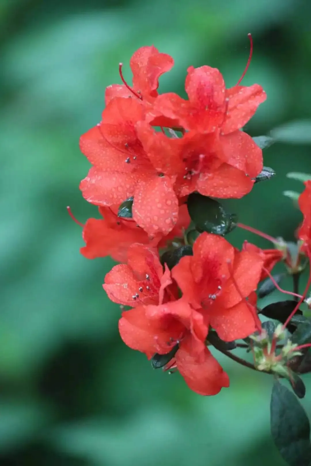 中考作文凡人微光进阶指导范例(一) 第5张 中考作文凡人微光进阶指导范例(一) 第5张