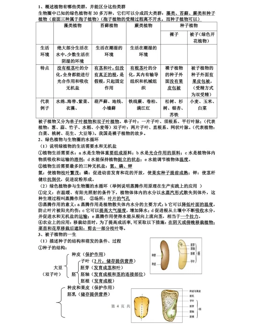 【中考生物】生物中考知识点总结,高分必备! 第4张 【中考生物】生物中考知识点总结,高分必备! 第4张